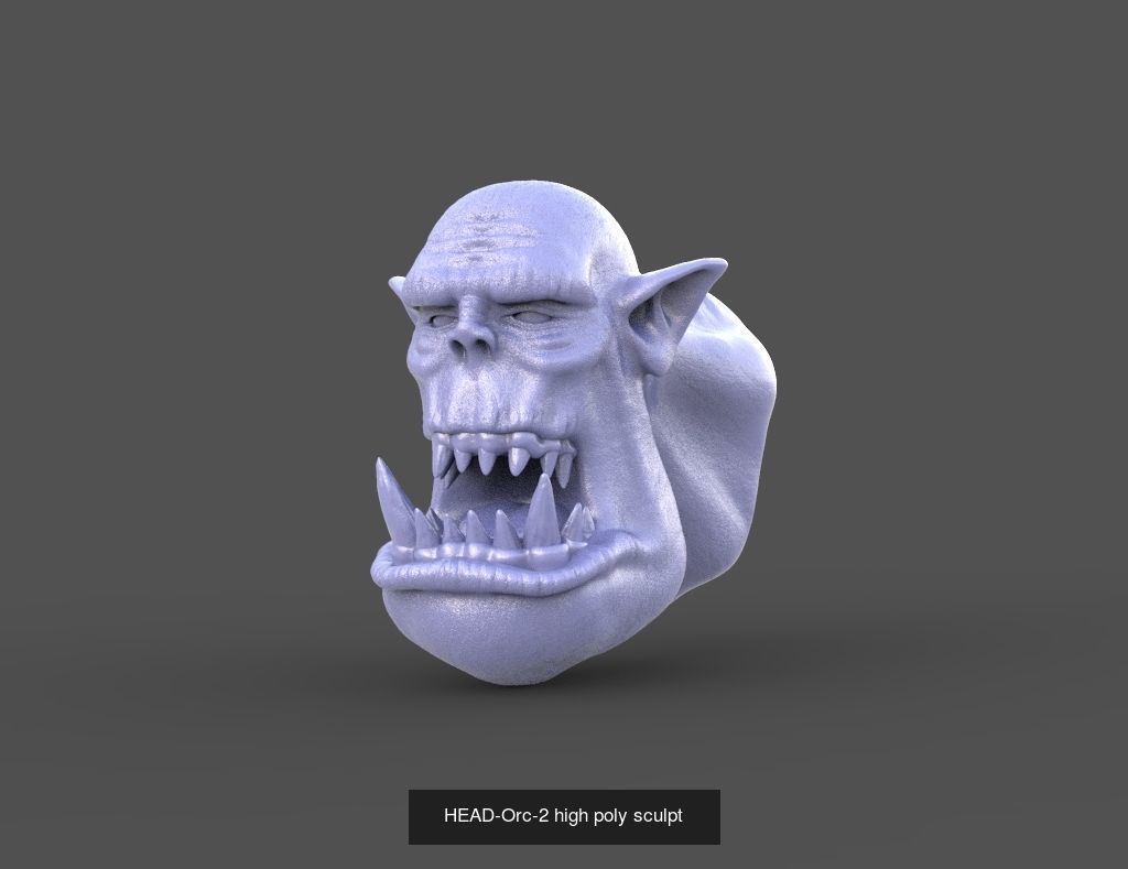 50 HEADS High Poly sculpts  3D Model Collection_26
