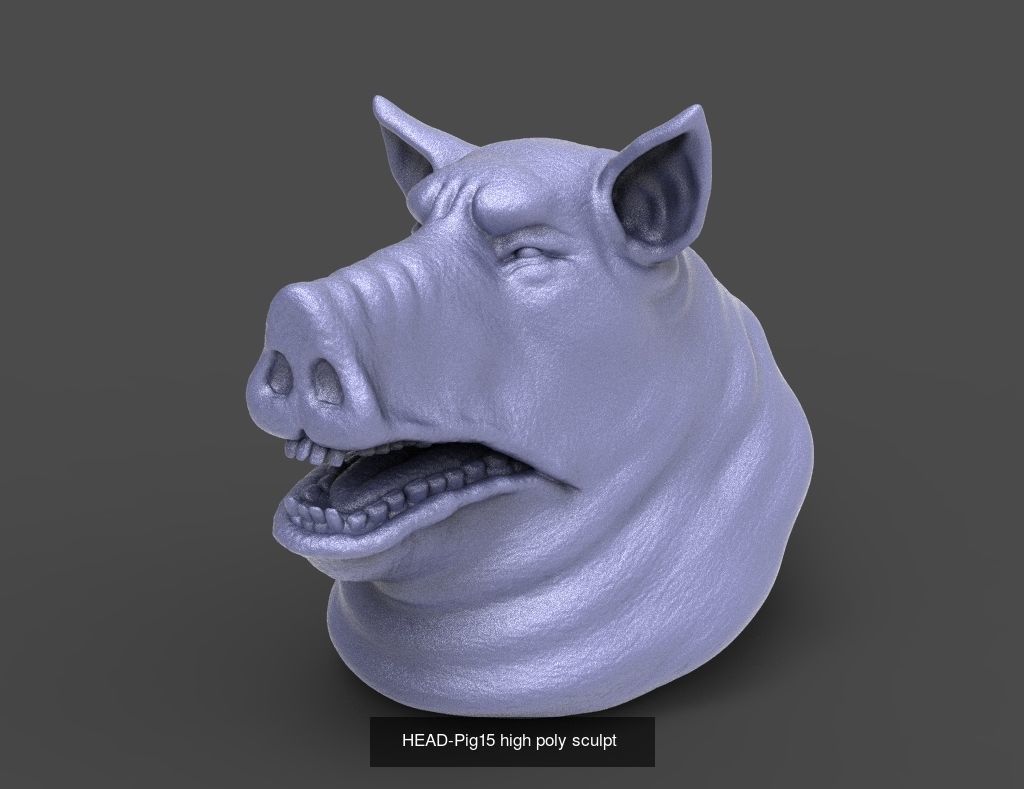 50 HEADS High Poly sculpts  3D Model Collection_6