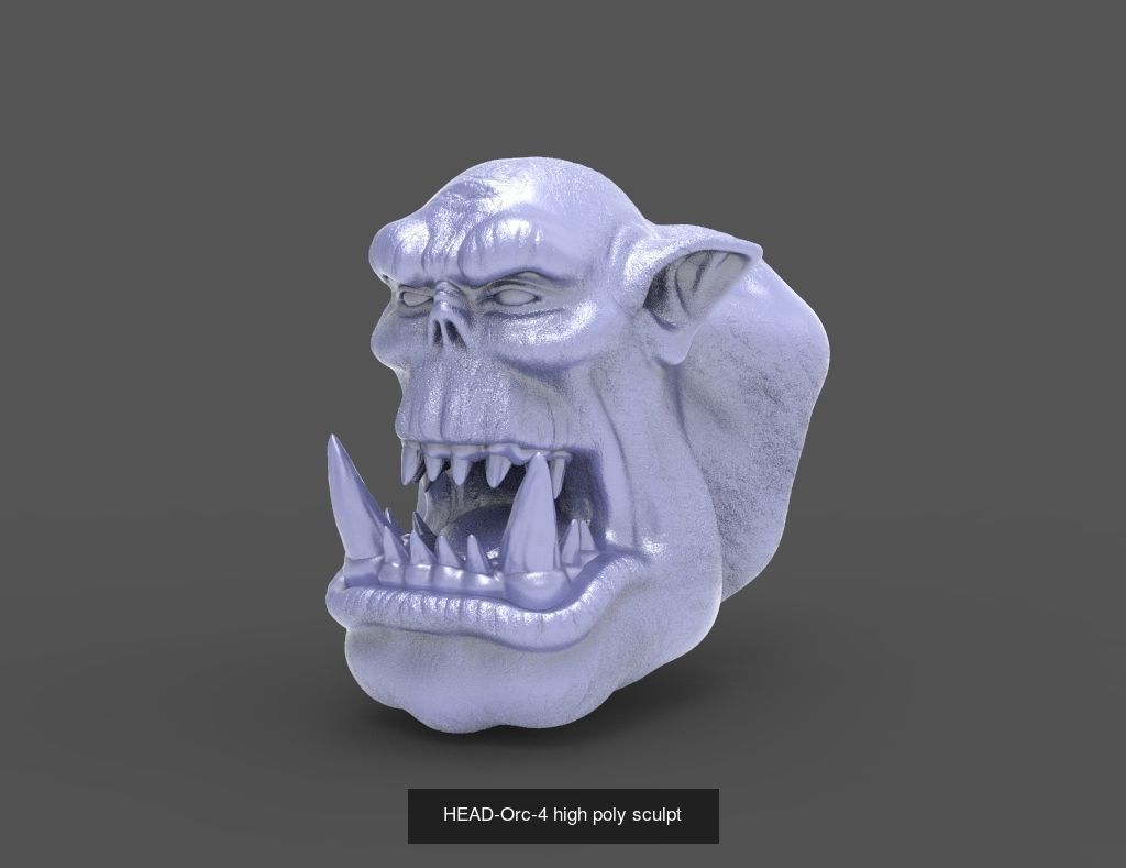 50 HEADS High Poly sculpts  3D Model Collection_28