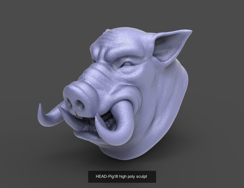 50 HEADS High Poly sculpts  3D Model Collection_9