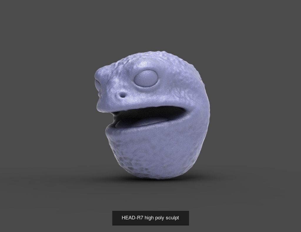 50 HEADS High Poly sculpts  3D Model Collection_22