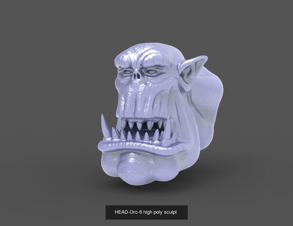 50 HEADS High Poly sculpts  3D Model Collection_30
