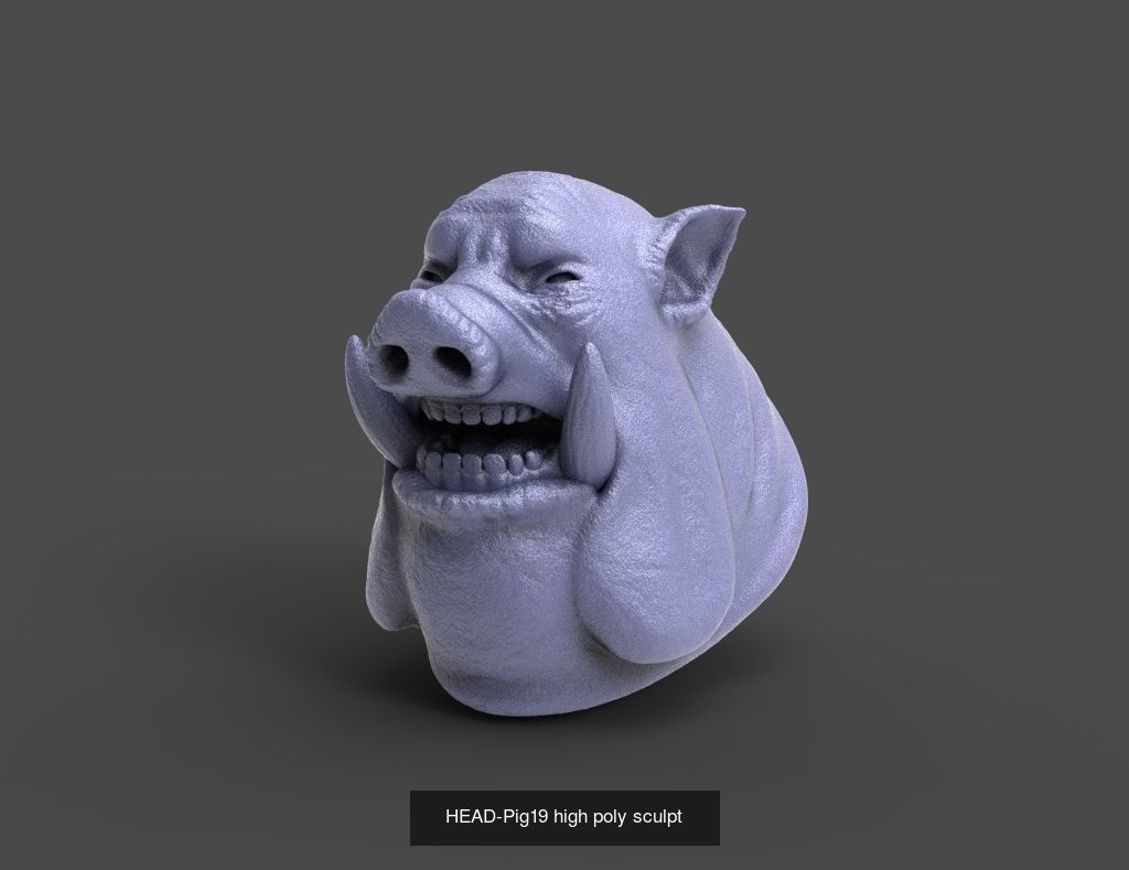 50 HEADS High Poly sculpts  3D Model Collection_10