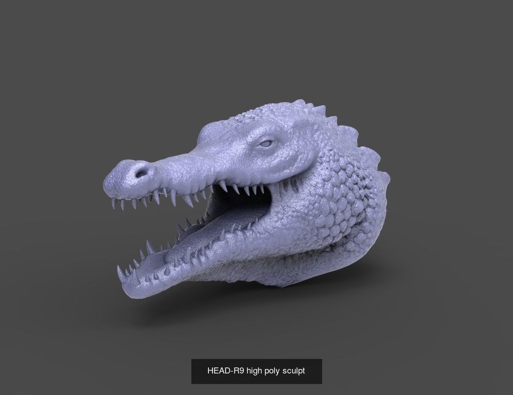 50 HEADS High Poly sculpts  3D Model Collection_24