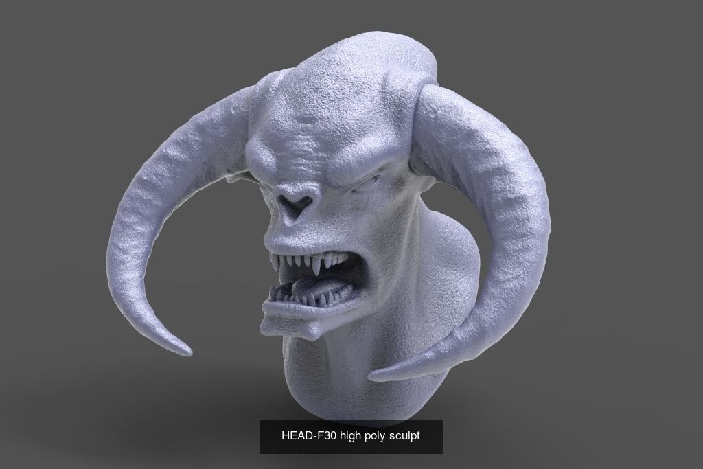 50 HEADS High Poly sculpts  3D Model Collection_51