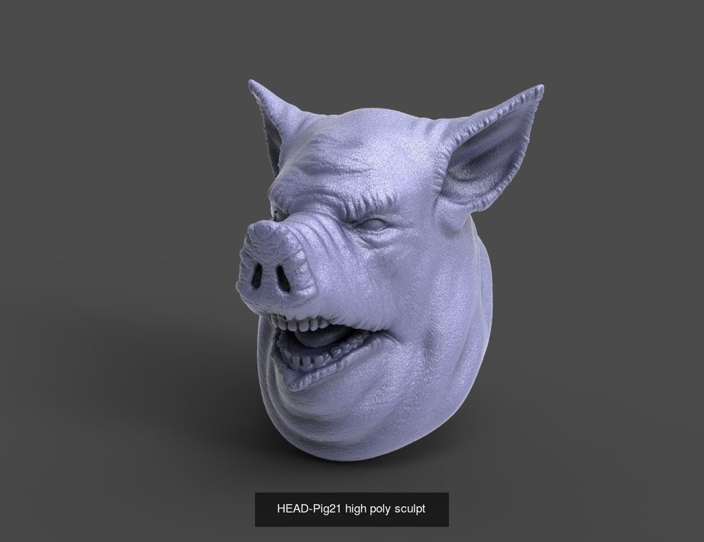 50 HEADS High Poly sculpts  3D Model Collection_12