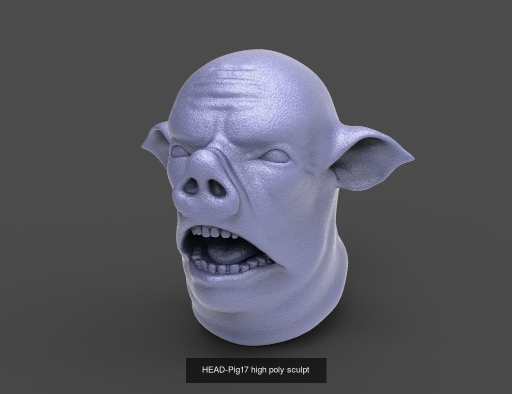 50 HEADS High Poly sculpts  3D Model Collection_8