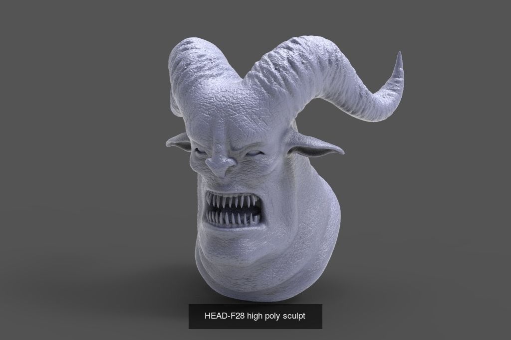 50 HEADS High Poly sculpts  3D Model Collection_49