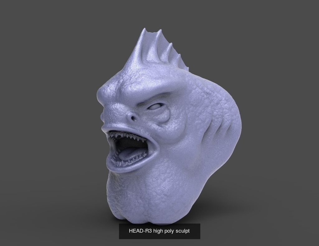 50 HEADS High Poly sculpts  3D Model Collection_18