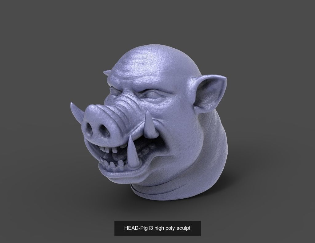 50 HEADS High Poly sculpts  3D Model Collection_4