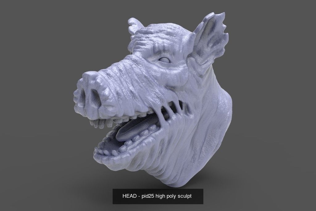 50 HEADS High Poly sculpts  3D Model Collection_41