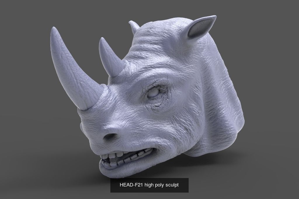 50 HEADS High Poly sculpts  3D Model Collection_42