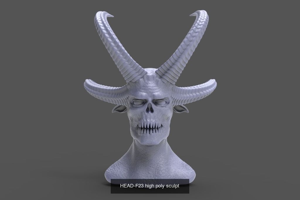50 HEADS High Poly sculpts  3D Model Collection_44