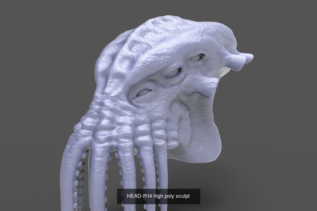 50 HEADS High Poly sculpts  3D Model Collection_39