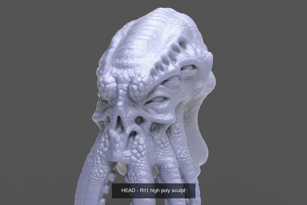 50 HEADS High Poly sculpts  3D Model Collection_36