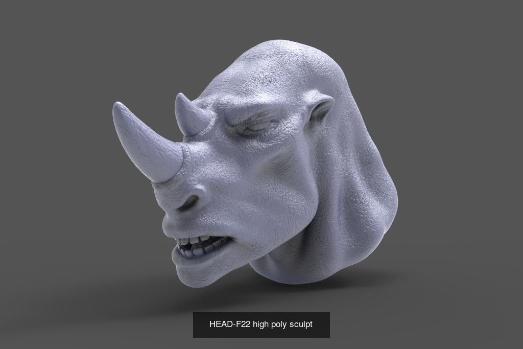 50 HEADS High Poly sculpts  3D Model Collection_43