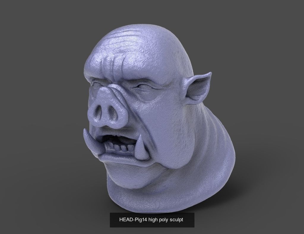 50 HEADS High Poly sculpts  3D Model Collection_5