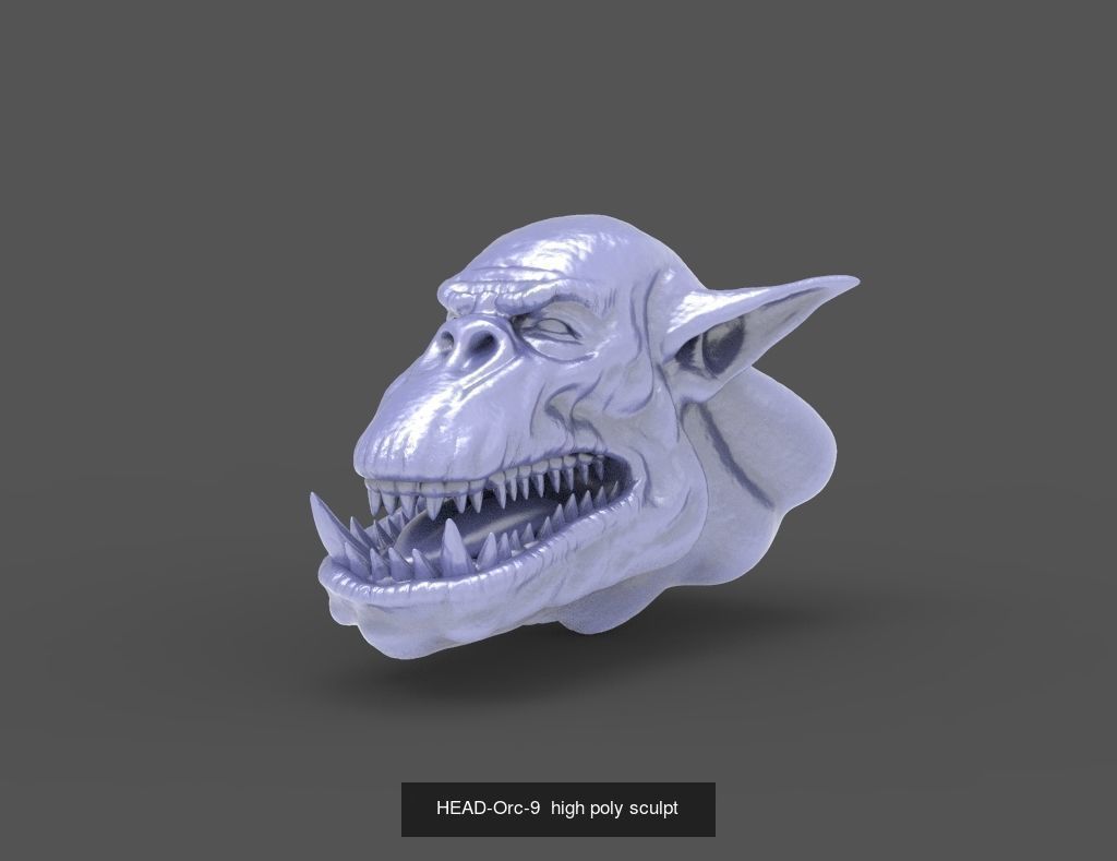50 HEADS High Poly sculpts  3D Model Collection_33