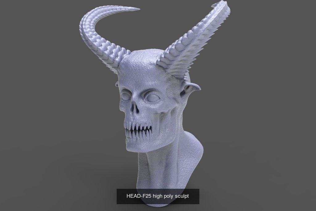 50 HEADS High Poly sculpts  3D Model Collection_46