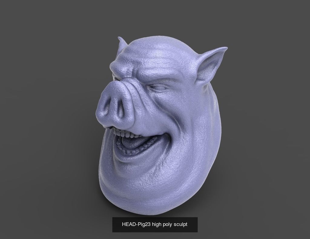 50 HEADS High Poly sculpts  3D Model Collection_14