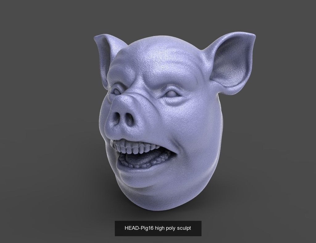 50 HEADS High Poly sculpts  3D Model Collection_7