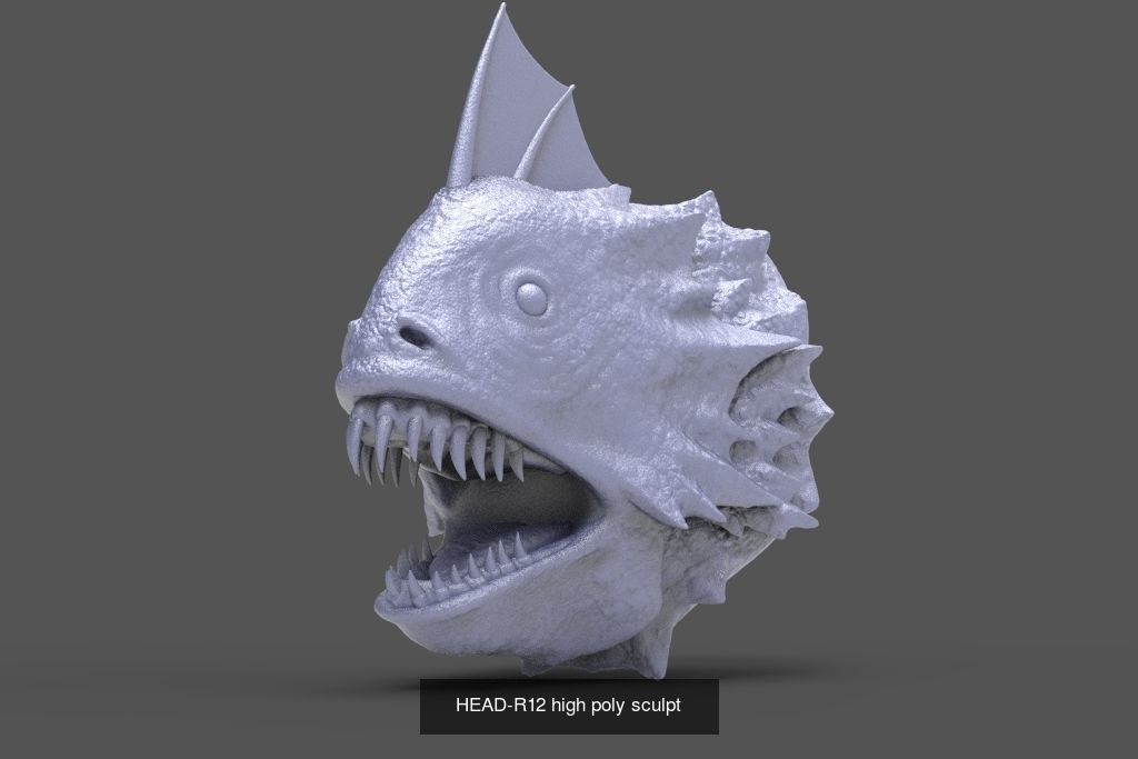 50 HEADS High Poly sculpts  3D Model Collection_37