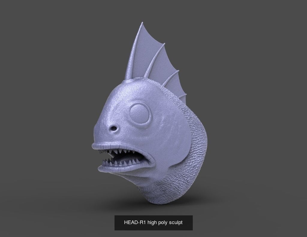 50 HEADS High Poly sculpts  3D Model Collection_16