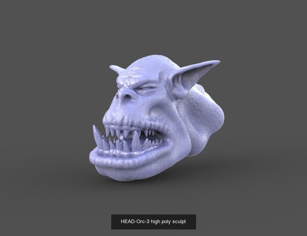 50 HEADS High Poly sculpts  3D Model Collection_27