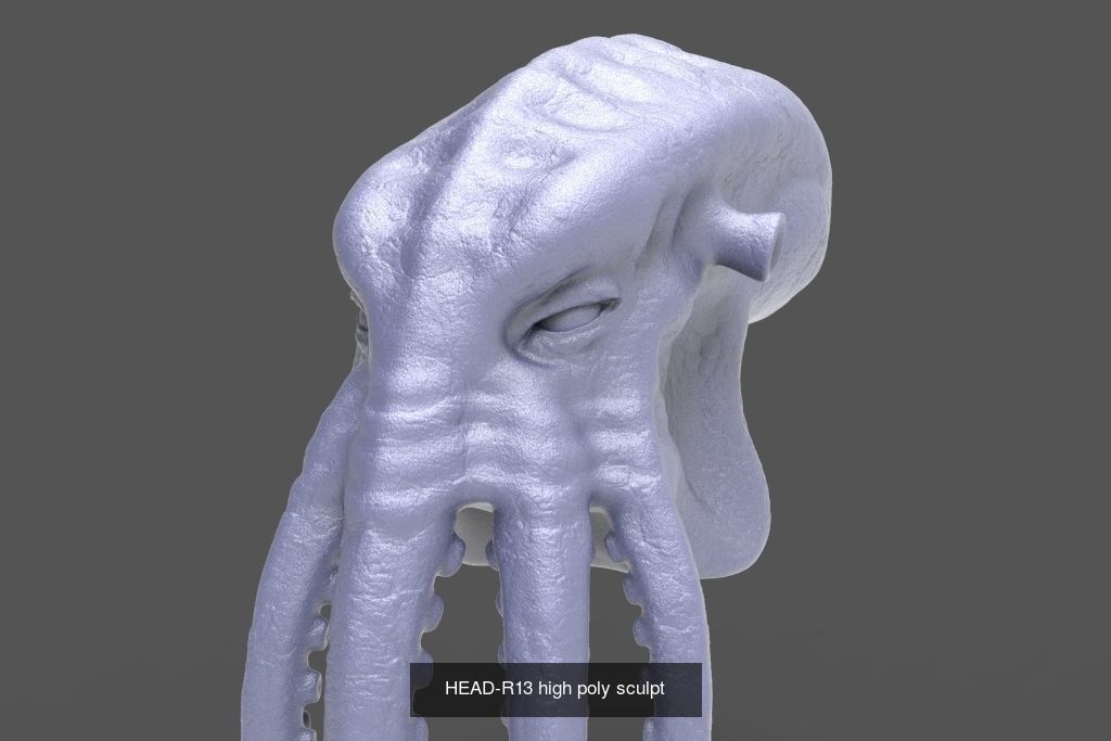 50 HEADS High Poly sculpts  3D Model Collection_38