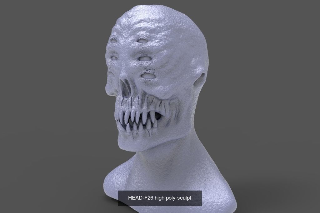 50 HEADS High Poly sculpts  3D Model Collection_47