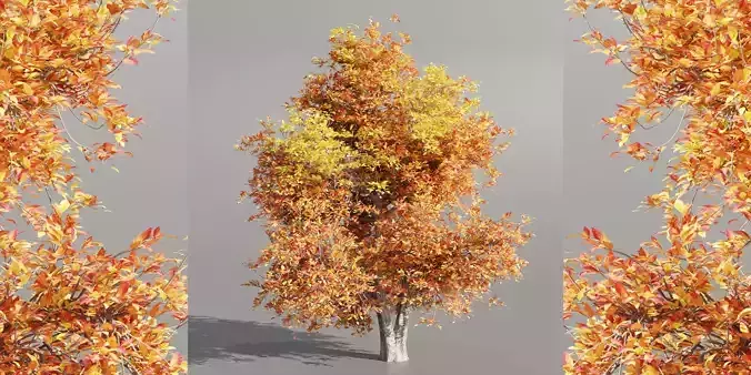 Natural tree for landscape vol 215-Blender