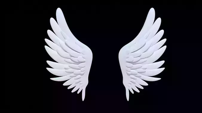 The Stylized Angel Wings