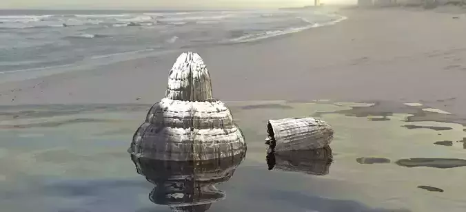 Carved Sea shell rock stones  2 versions  Low-poly 3D model