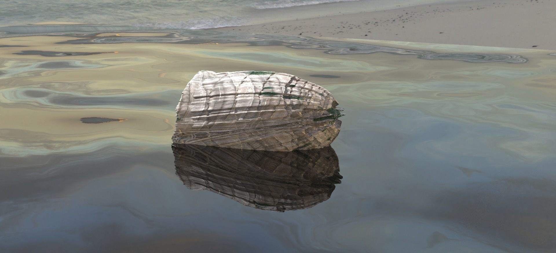 Carved Sea shell rock stones  2 versions  Low-poly 3D model_2