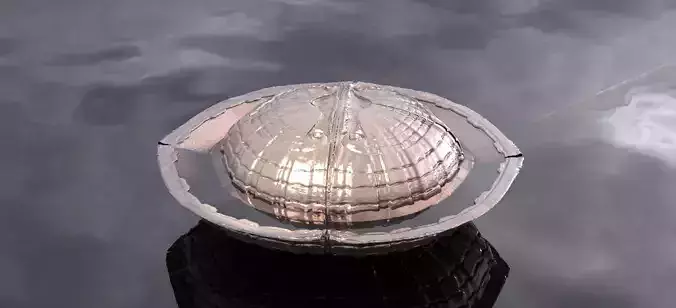 Medieval Ocean  fountain sculpture pool 