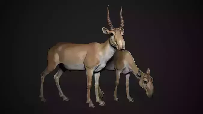 Saiga - 3D Sculpting - High Poly 
