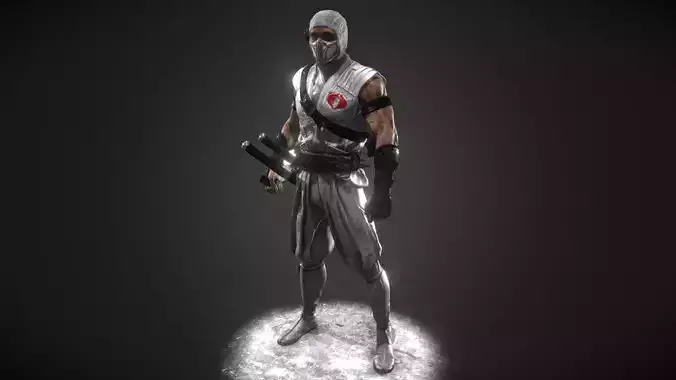 Storm Ninja Warrior Low-poly 3D model