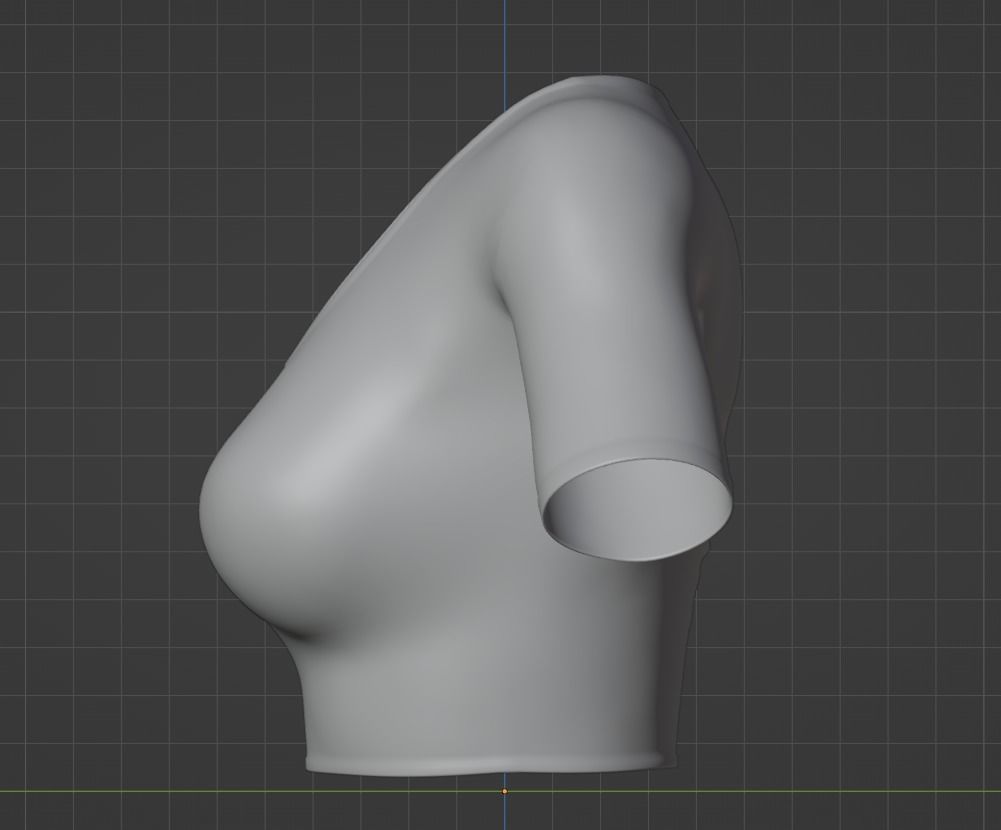 Crop Top 3D model_11