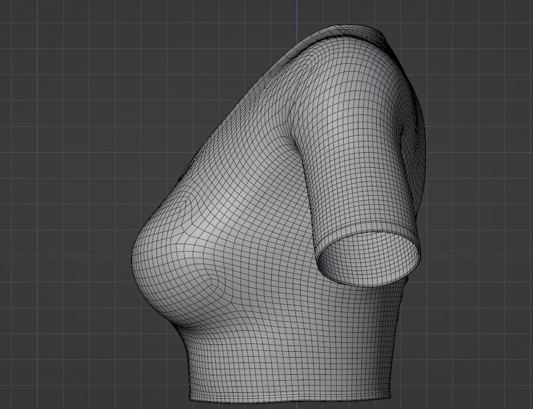 Crop Top 3D model_13