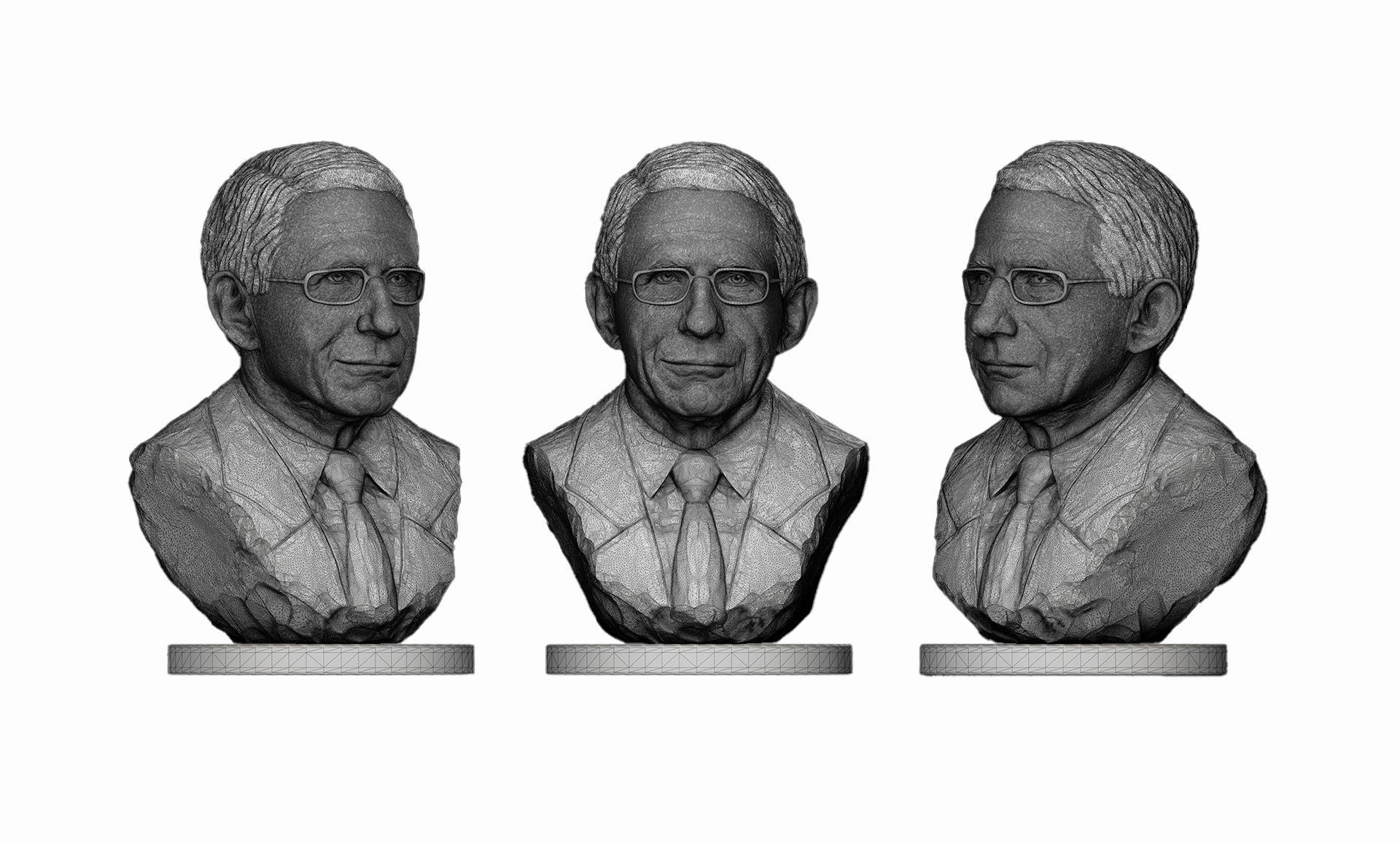 Anthony Fauci 3D print model_6