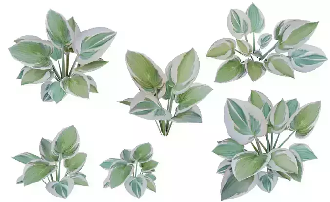 Small plants - low poly - 6 Variations - 281 Models