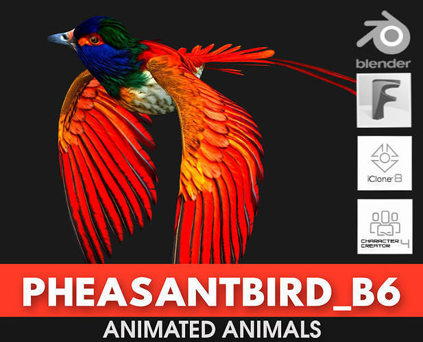 PheasantBird B6 3D model