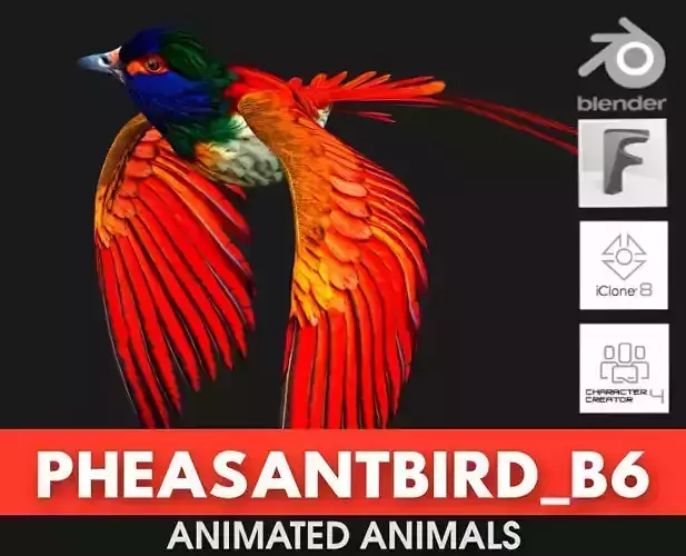 PheasantBird B6