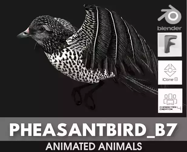 PheasantBird B7