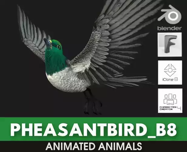 PheasantBird B8