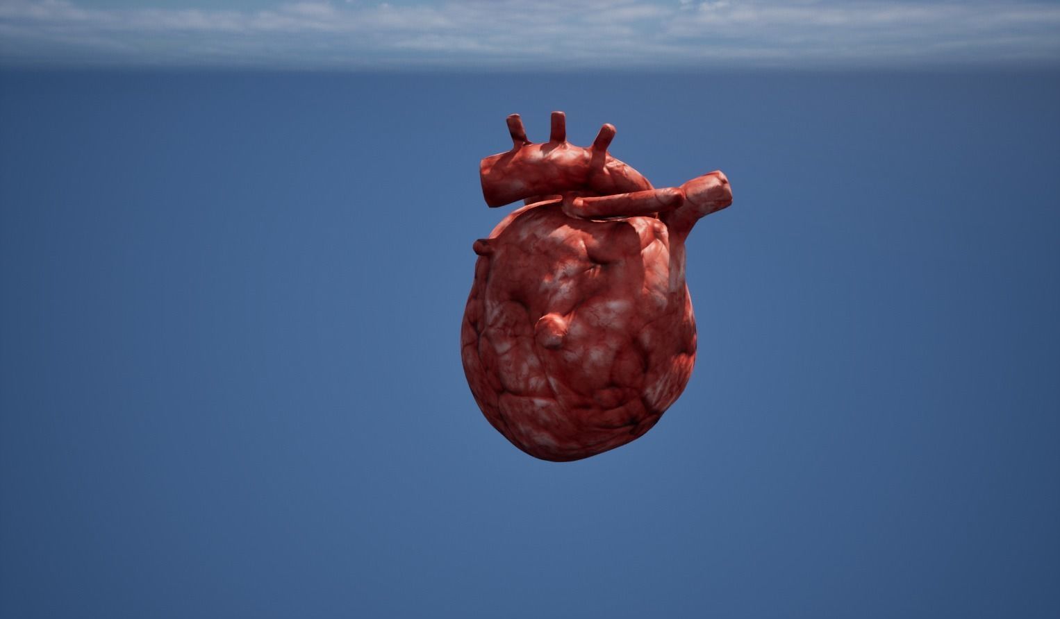 Heart Organ Low-poly 3D model_5