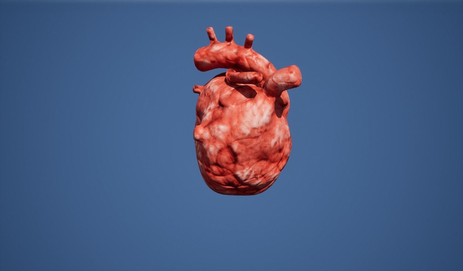 Heart Organ Low-poly 3D model_3