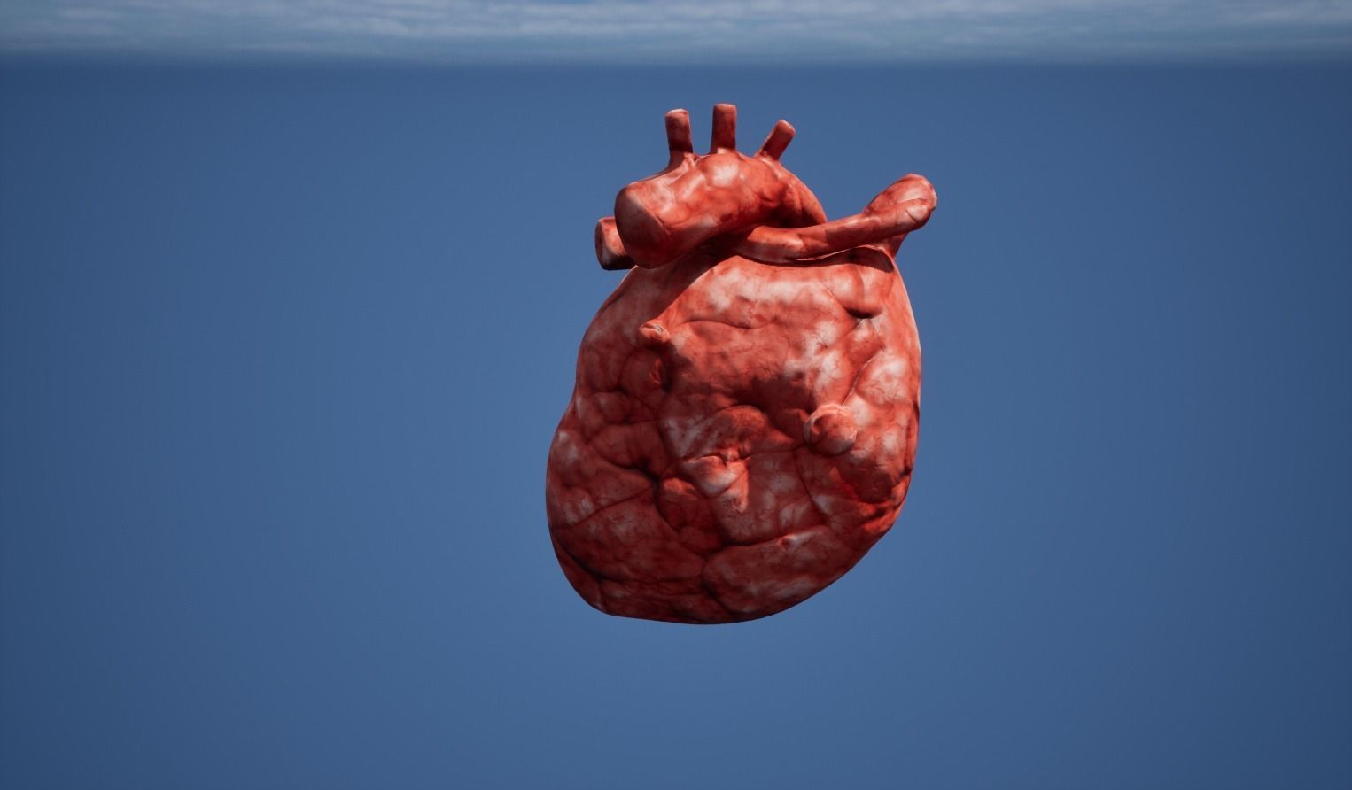 Heart Organ Low-poly 3D model_4
