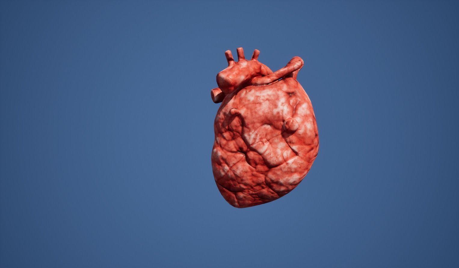 Heart Organ Low-poly 3D model_1