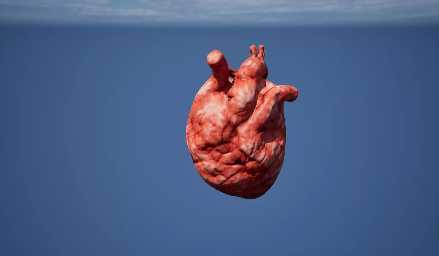Heart Organ Low-poly 3D model_0